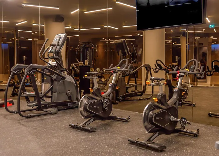 מלון Melia São João da Madeira