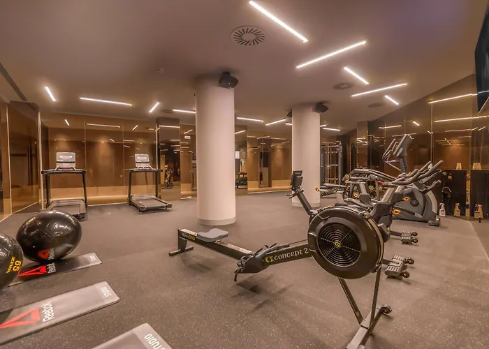 מלון Melia São João da Madeira